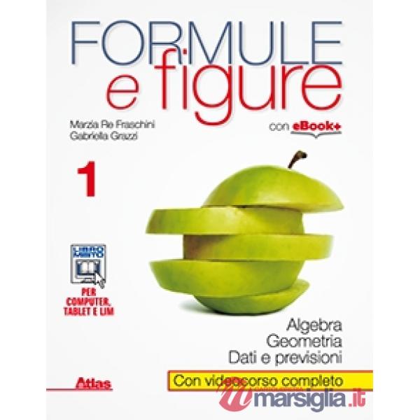 FORMULE E FIGURE 1