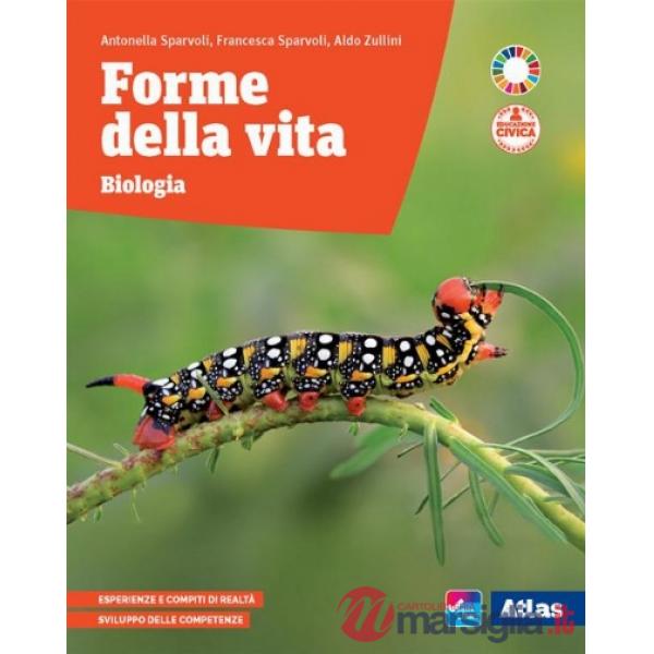 FORME DELLA VITA