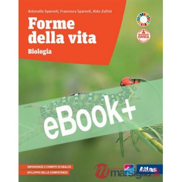 FORME DELLA VITA