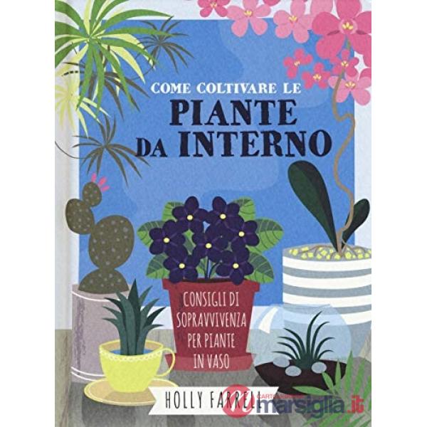 Come coltivare piante da interno. Consigli di sopravvivenza per piante in vaso