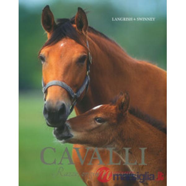 Cavalli. Razze, origini e curiosità