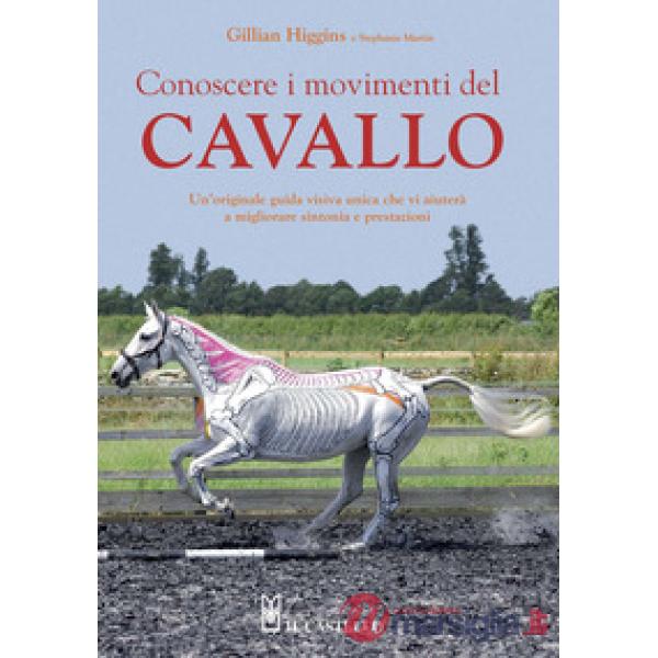 Conoscere i movimenti del cavallo