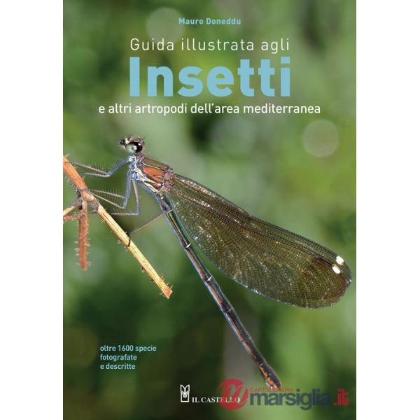 Guida illustrata agli insetti e altri artropodi dell'area mediterranea. Ediz. a colori