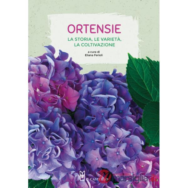 Ortensie. La storia, le varietà, la coltivazione