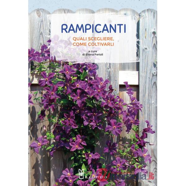 Rampicanti. Quali scegliere, come coltivarli