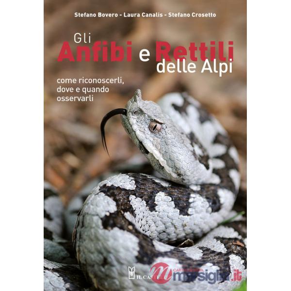 Anfibi e rettili delle Alpi. Come riconoscerli, dove e quando osservarli. Ediz. a colori (Gli)