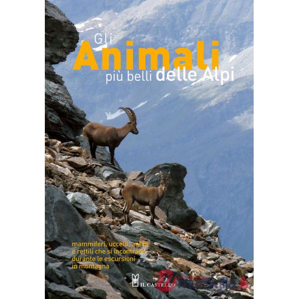 Animali più belli delle Alpi. Mammiferi, uccelli, anfibi e rettili che si incontrano durante le escursioni in montagna. Ediz. a 