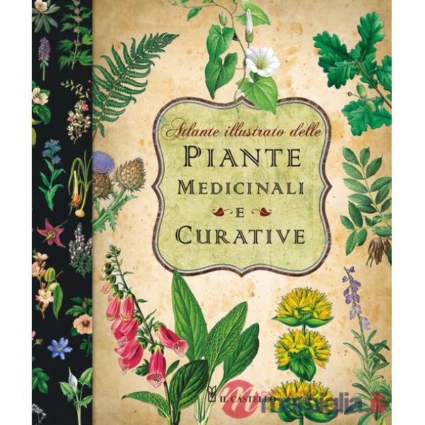 Atlante illustrato delle piante medicinali e curative