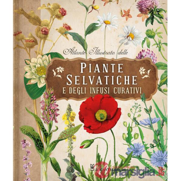 Atlante illustrato delle piante selvatiche e degli infusi curativi