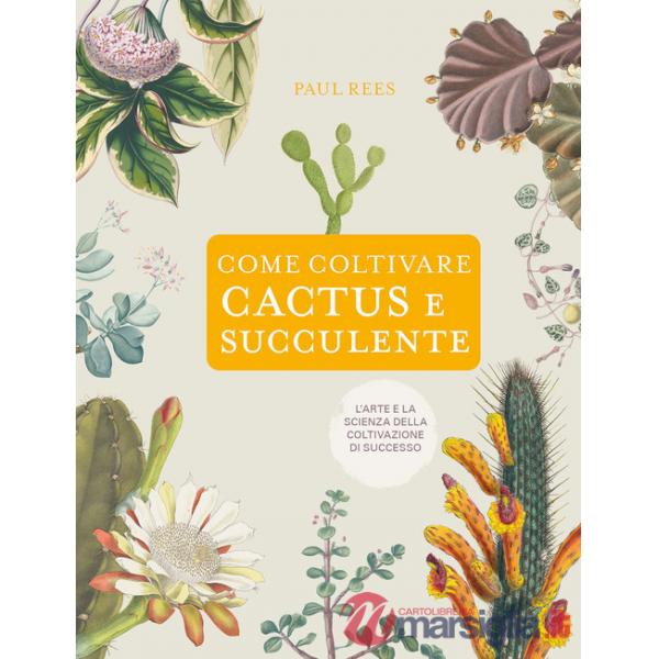 Come coltivare cactus e succulente
