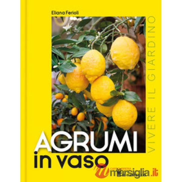 Agrumi in vaso