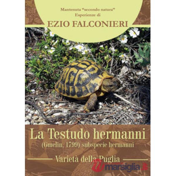 Testudo hermanni. Varietà di Puglia (La)
