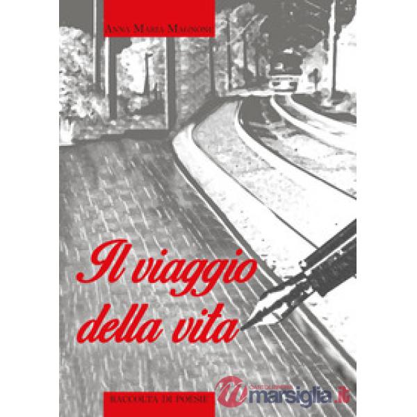 Viaggio della vita (Il)