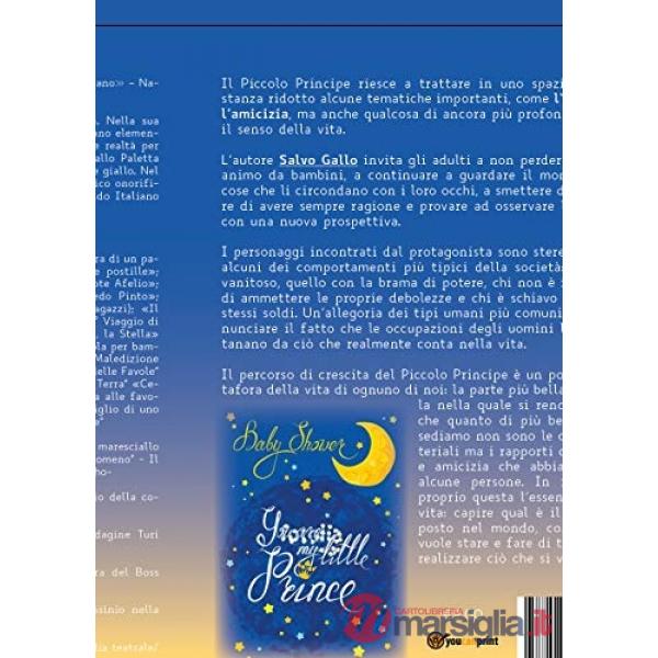Piccolo Principe a teatro (Il)