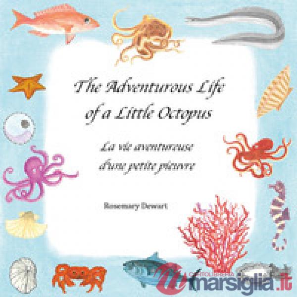 Adventurous life of a little octopus-La vie aventureuse d'une petite pieuvre. Ed