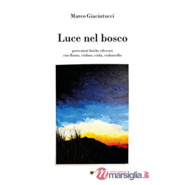 Luce nel bosco