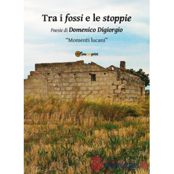 Trai i fossi e le stoppie