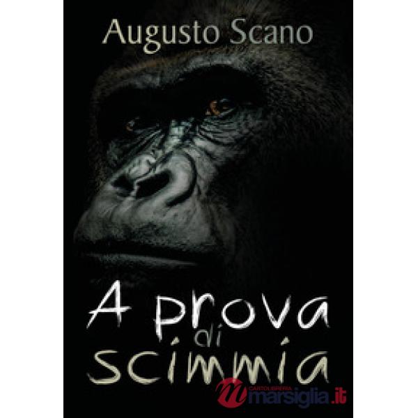 A prova di scimmia