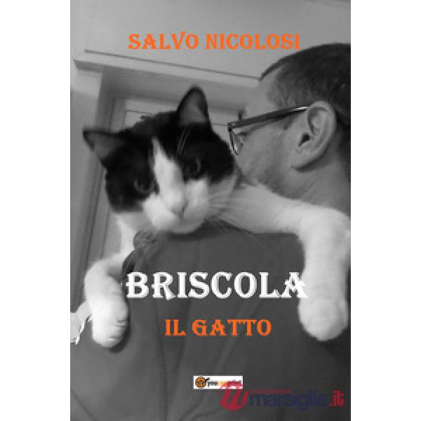 Briscola il gatto