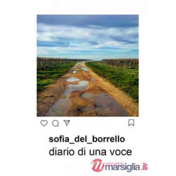 Diario di una voce