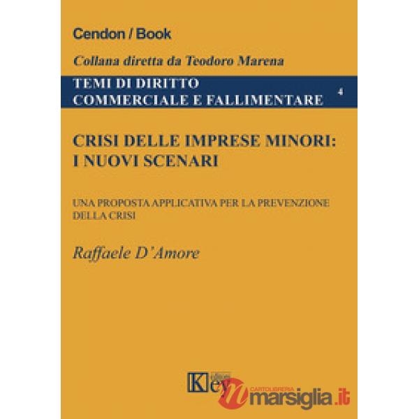 Crisi delle imprese minori: i nuovi scenari. Una proposta applicativa per la prevenzione della crisi