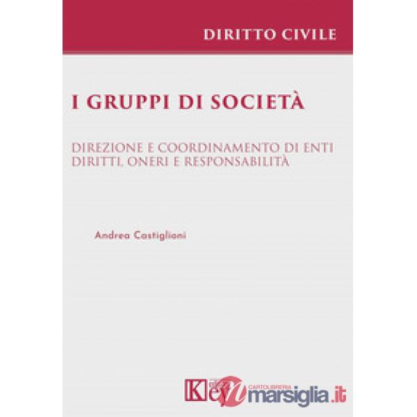 I gruppi di società. Direzione e coordinamento di enti. Diritti, oneri e responsabilità