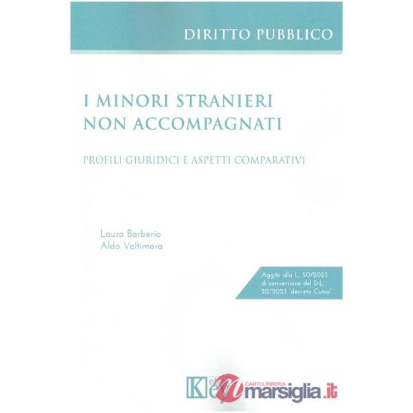 I minori stranieri non accompagnati. Profili giuridici e aspetti comparativi