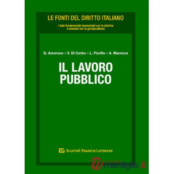 Il lavoro pubblico