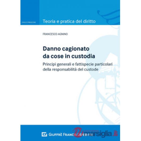 DANNO CAGIONATO DA COSE IN CUSTODIA. PRINCIPI GENERALI E FATTISPECIE PARTICOLARI DELLA RESPONSABILITÀ DEL 