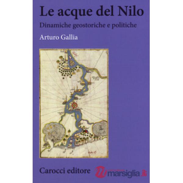Acque del Nilo. Dinamiche geostoriche e politiche (Le)