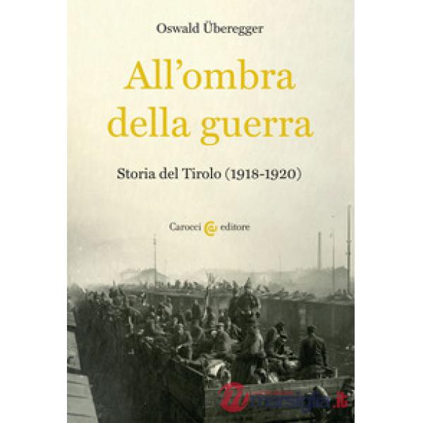 All'ombra della guerra. Storia del Tirolo (1918-1920)