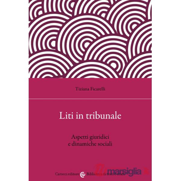 Liti in tribunale. Aspetti giuridici e dinamiche sociali