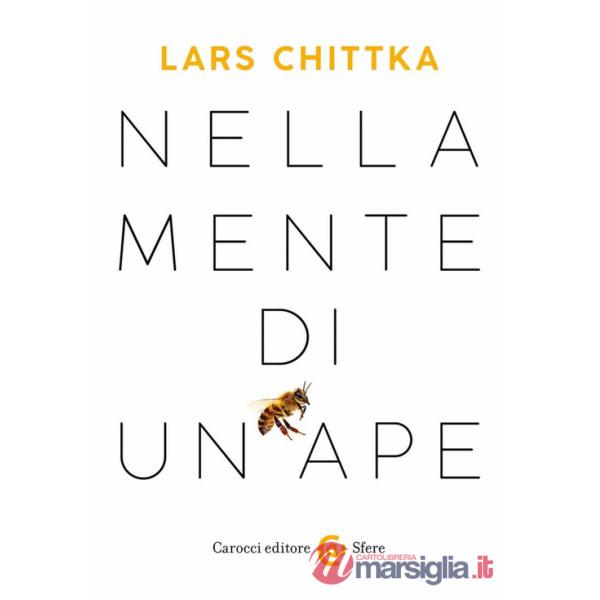 Nella mente di un'ape
