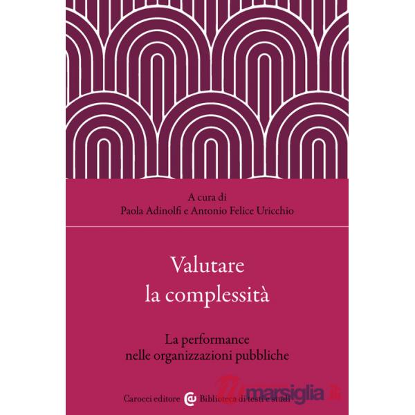 Valutare la complessità. La performance nelle organizzazioni pubbliche