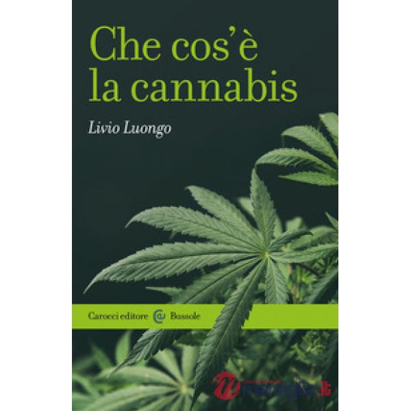 Che cos'è la cannabis