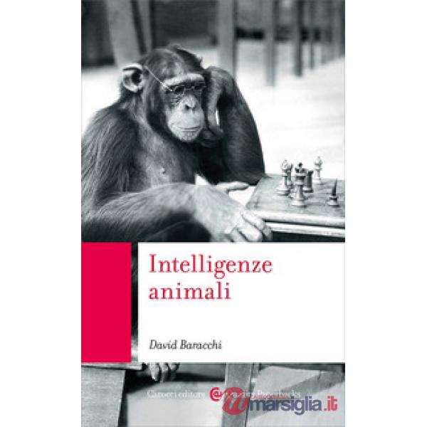 Intelligenze animali
