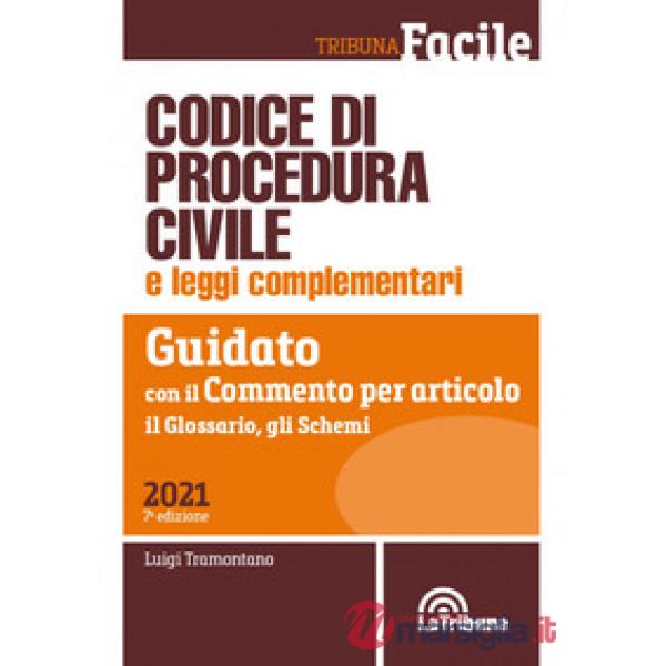 Codice di procedura civile e leggi complementari. Guidato con il commento per articolo, il glossario, gli schemi