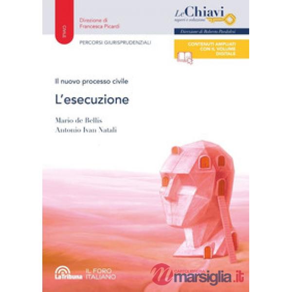 Il nuovo processo civile. L'esecuzione