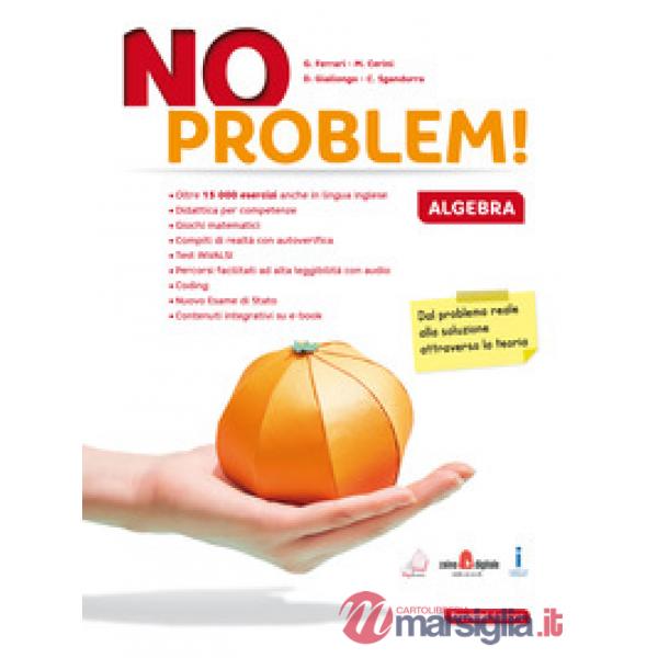 NO PROBLEM! ALGEBRA