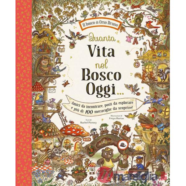 Quanta vita nel bosco oggi.... Ediz. a colori
