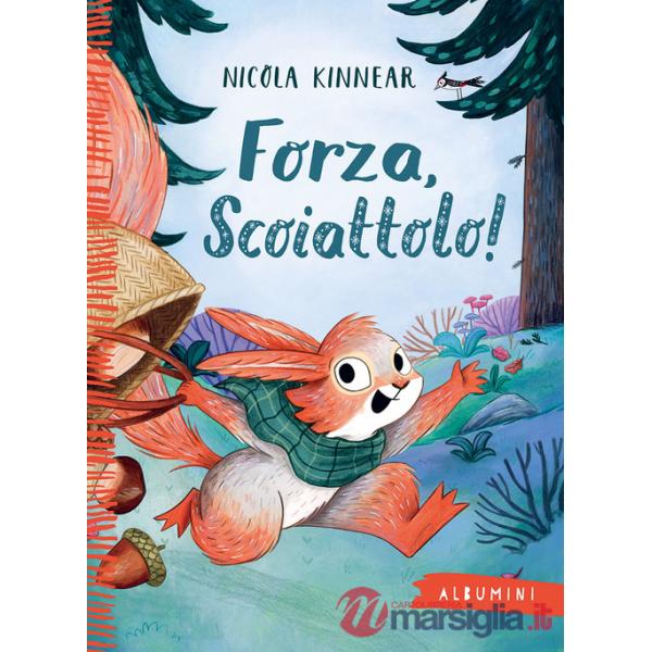 Forza, scoiattolo! Ediz. a colori