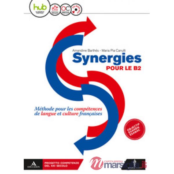 SYNERGIES B2