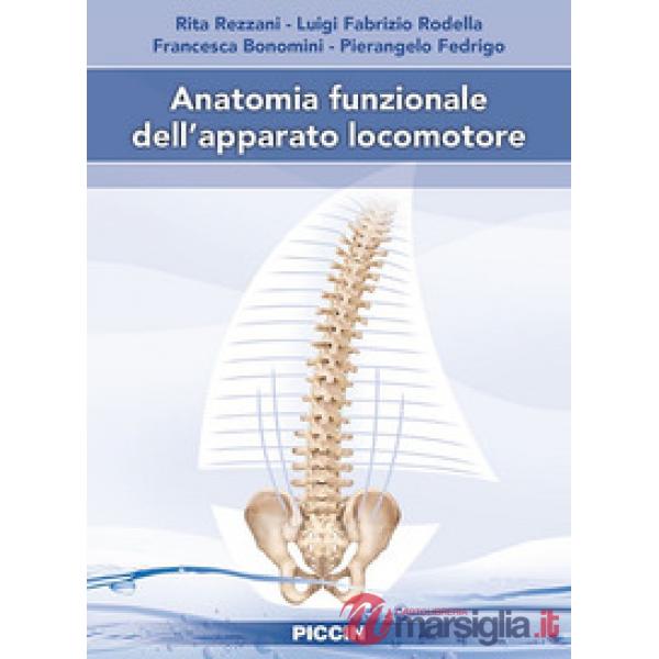 Anatomia funzionale dell'apparato locomotore