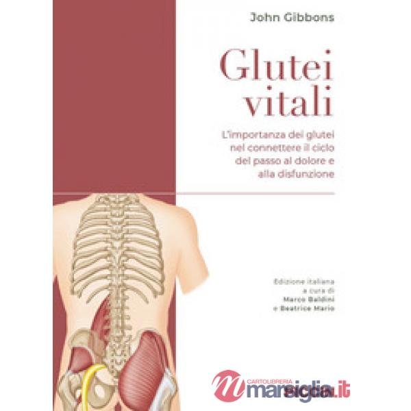 Glutei vitali. L'importanza dei glutei nel connettere il ciclo del passo al dolore e alla disfunzione