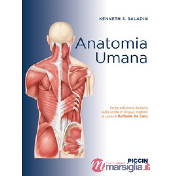 Anatomia umana