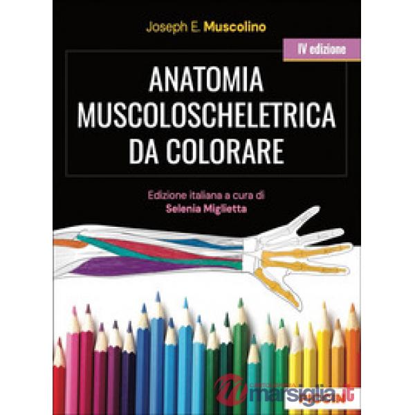 Anatomia muscoloscheletrica da colorare