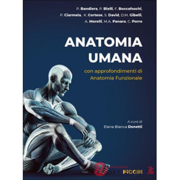 Anatomia umana. Con approfondimenti di anatomia funzionale