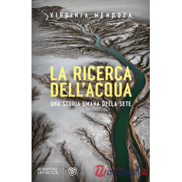 Ricerca dell'acqua. Una storia umana della sete (La)