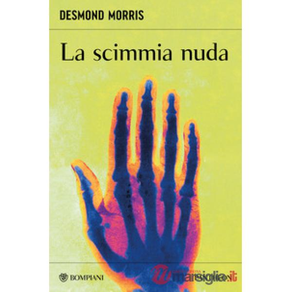 Scimmia nuda (La)