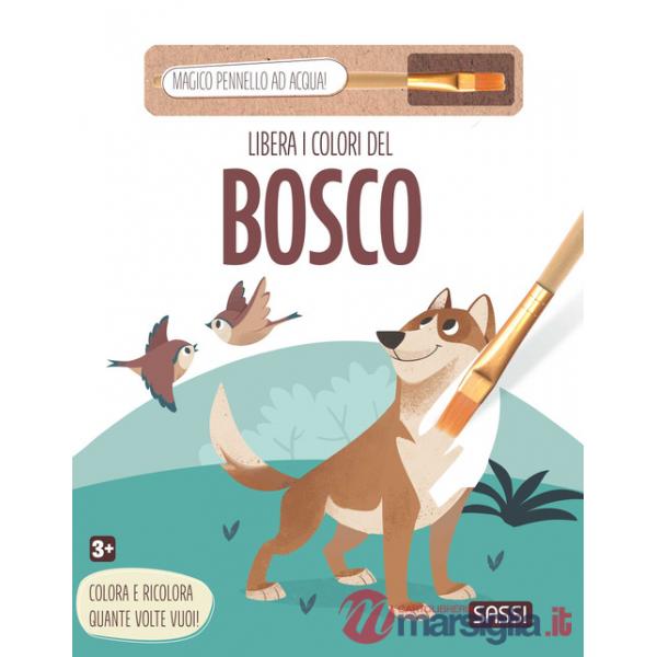 Libera i colori del bosco. Ediz. illustrata
